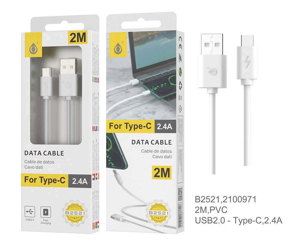 image principale pour Câble USB - Type C B2521 - 2A 2m - Blanc